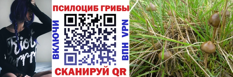 Псилоцибиновые грибы Magic Shrooms Тюкалинск